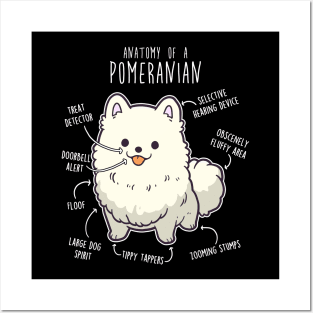 White Pomeranian Dog Anatomy Posters and Art